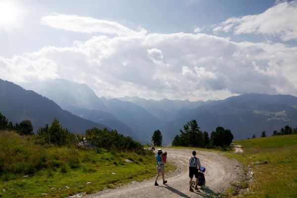 MayrhofnerBergbahnen_Geniesserrundweg_am_Ahorn.jpg