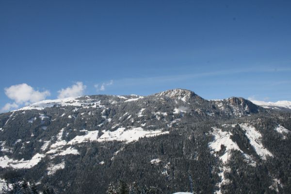 IMG_2258.JPG
