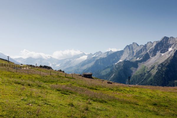 landscape-ahorn-3.jpg
